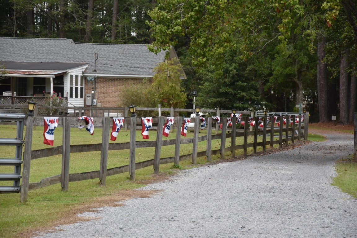 Joe White's photos from 2025 RAYunion