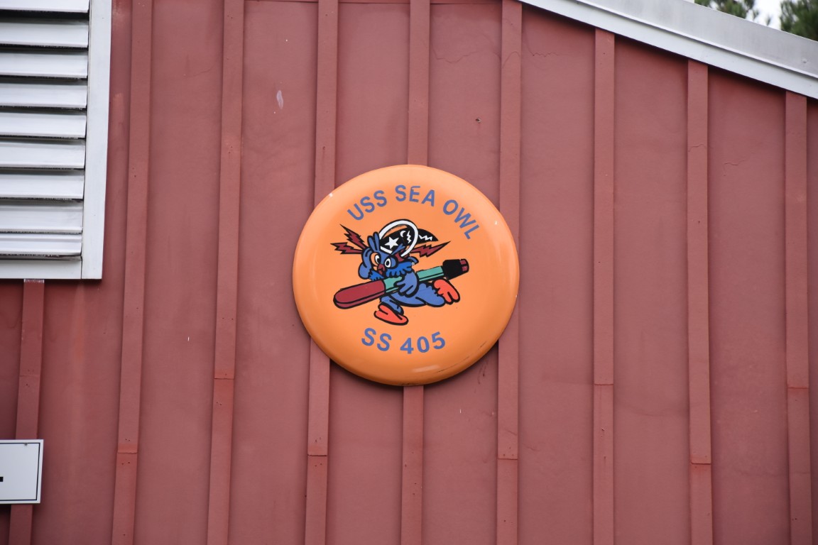 Joe White's photos from 2025 RAYunion