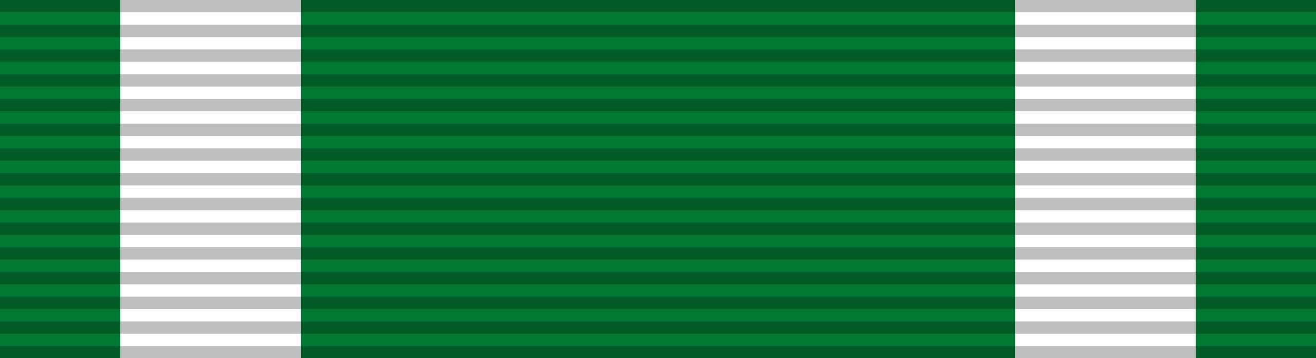Navy Commendation Medal Service Ribbons